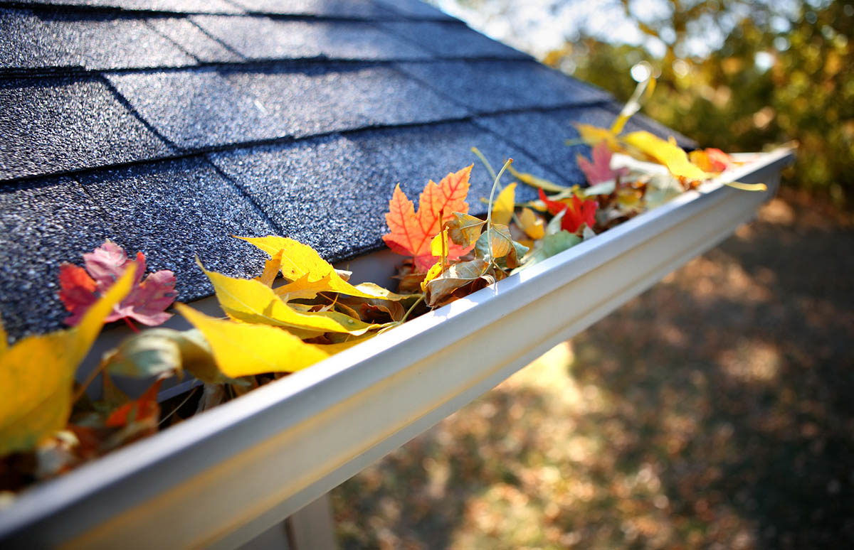 What is subsidence - 9990